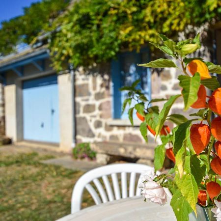 Beautiful Villa In The Parc Des Volcans D Auvergne วิค-ซูร์-แซร์ ภายนอก รูปภาพ