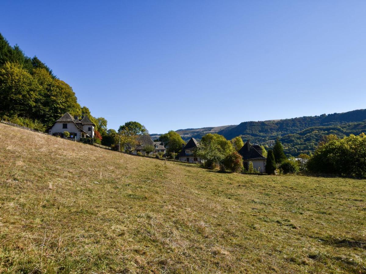 Beautiful Villa In The Parc Des Volcans D Auvergne วิค-ซูร์-แซร์ ภายนอก รูปภาพ