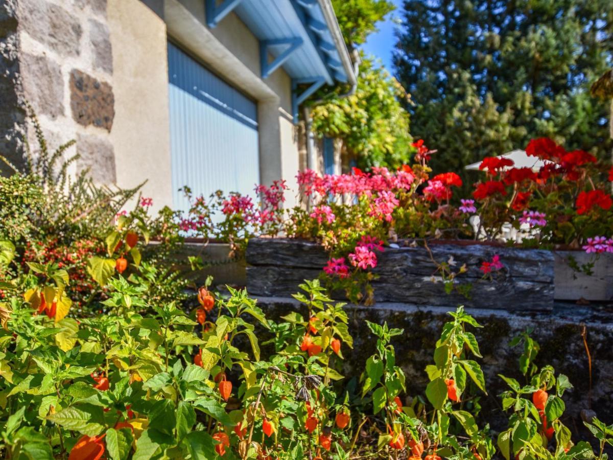 Beautiful Villa In The Parc Des Volcans D Auvergne วิค-ซูร์-แซร์ ภายนอก รูปภาพ