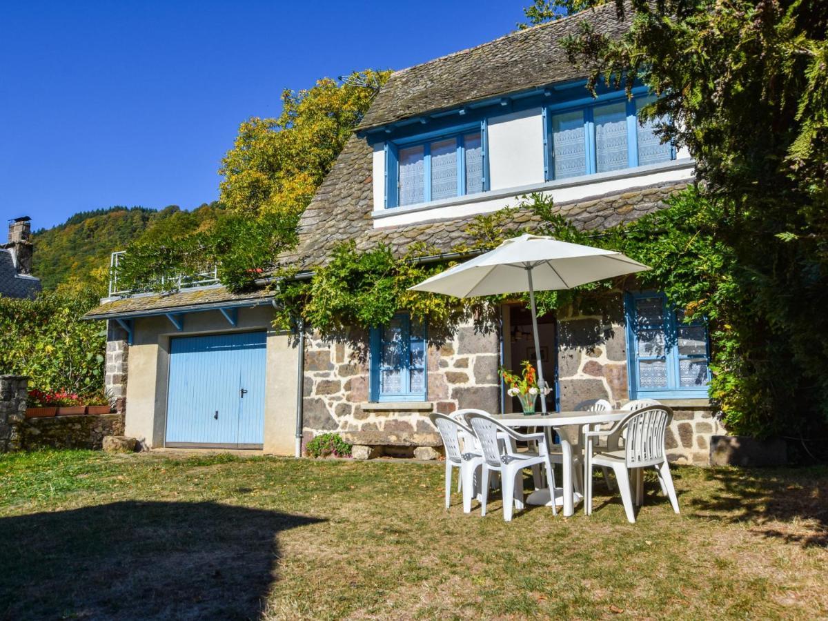 Beautiful Villa In The Parc Des Volcans D Auvergne วิค-ซูร์-แซร์ ภายนอก รูปภาพ